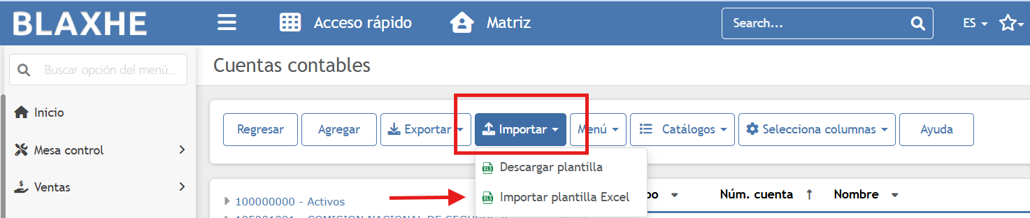 importarcuentacontable.png