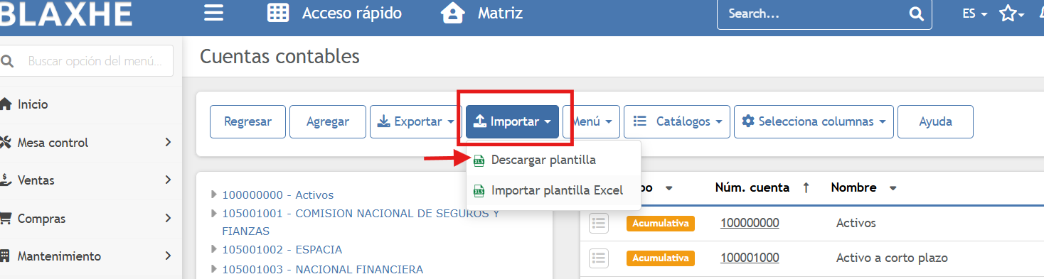 importarcuentascontables.png
